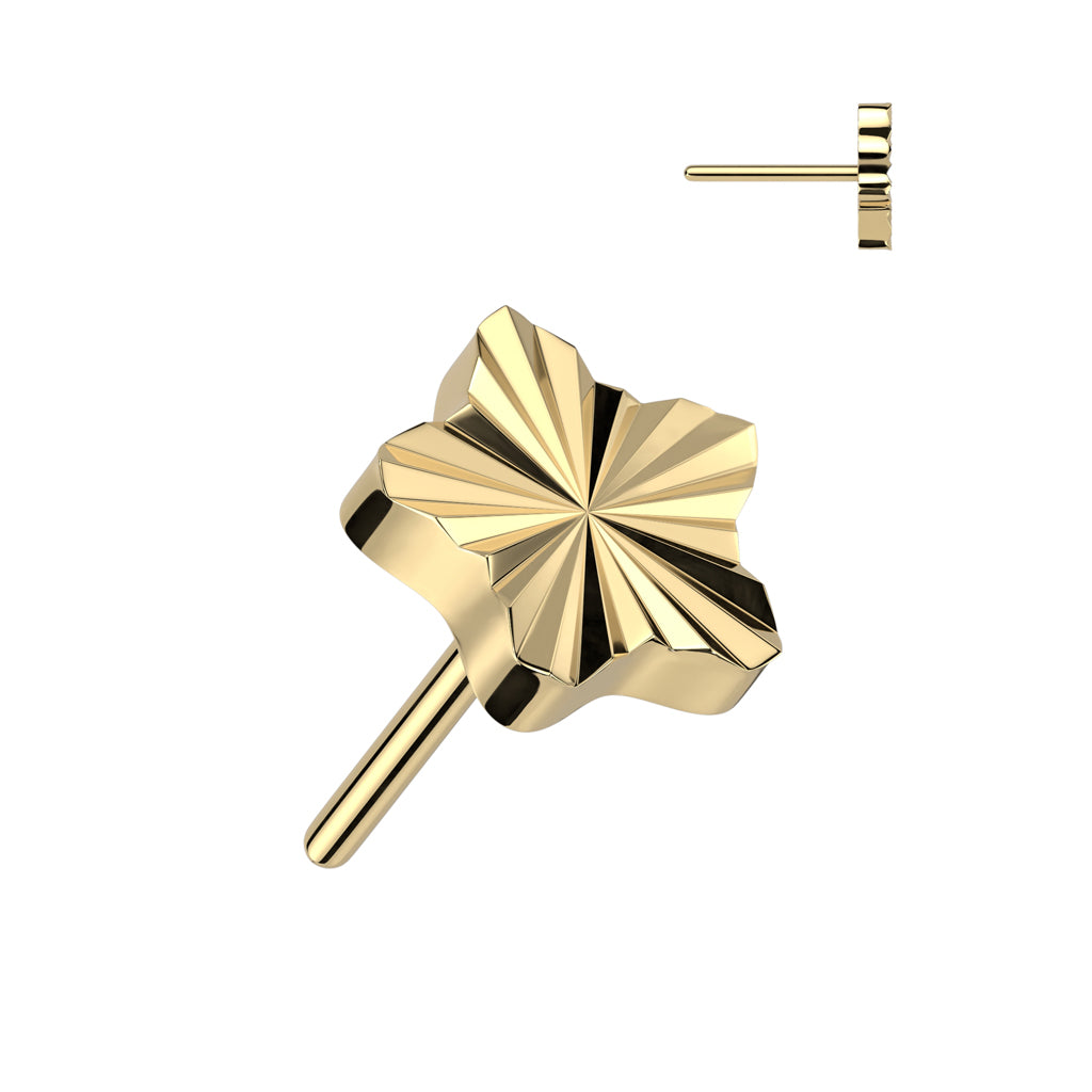 Textured Star Flat Back