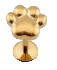 Paw Print Flat Back