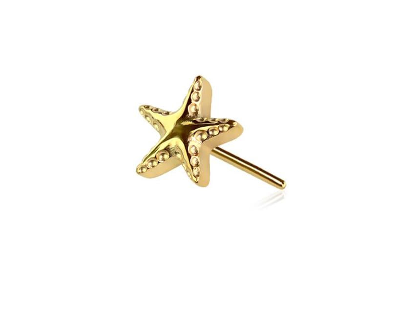 Sea Star Flat Back