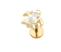 Small Turtle Flat Back