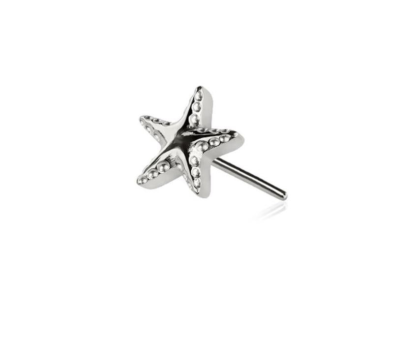 Sea Star Flat Back