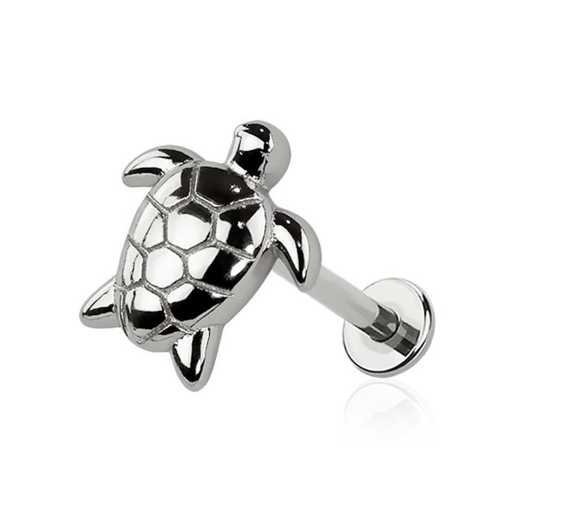 Turtle Flat Back